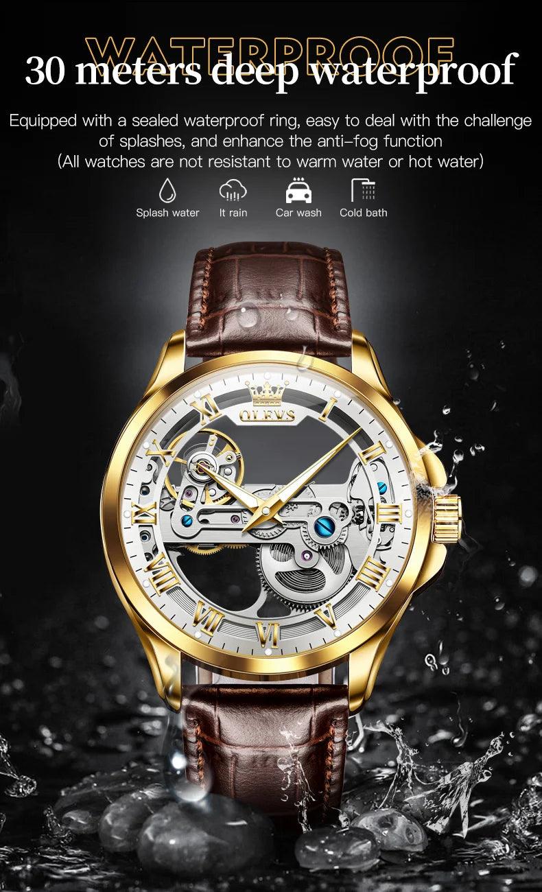 OLEVS Men's Automatic Mechanical Waterproof Luxury Wristwatch with Luminous Leather Strap - Gift Box Included Carauana Store