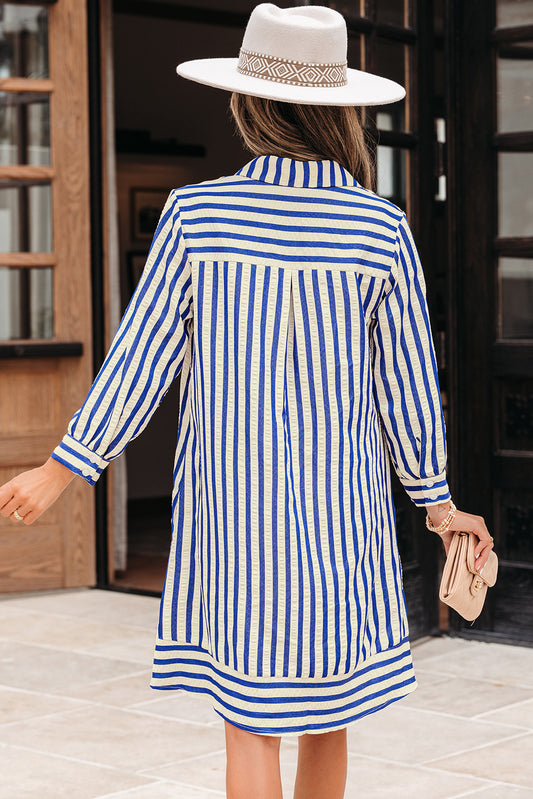 Blue Stripe Collared Half Button Side Pockets Loose Fit Mini Dress