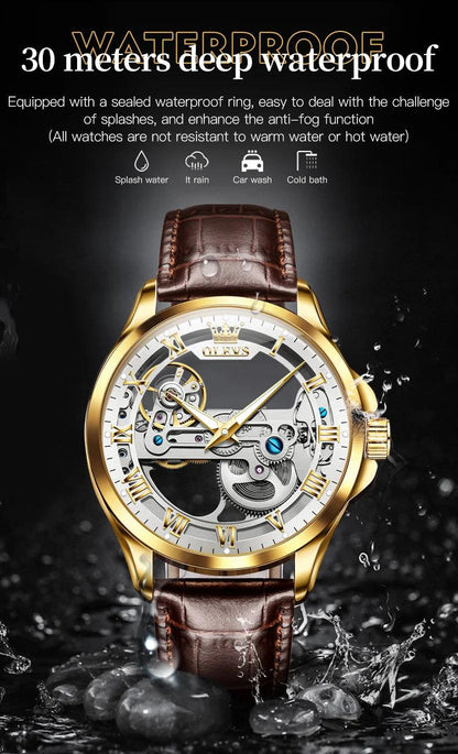 OLEVS Men's Automatic Mechanical Waterproof Luxury Wristwatch with Luminous Leather Strap - Gift Box Included Carauana Store