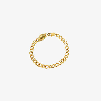 Snake Head Chain Titanium Steel Bracelet Carauana Store