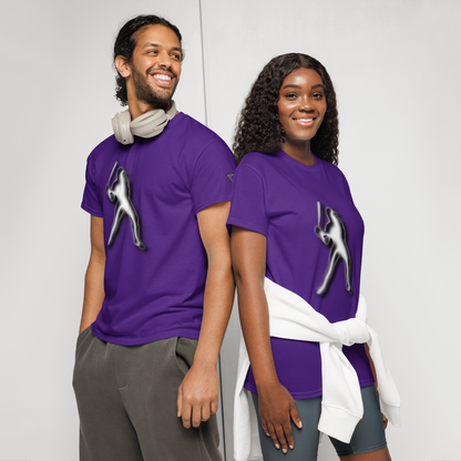 ⚾ Premium® T-Shirt CaRaUaNa American Baseball V1 Carauana Store